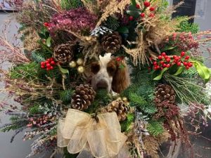 A Christmas wreath made during our Christmas wreath making session with a dogs face popping through the centre.