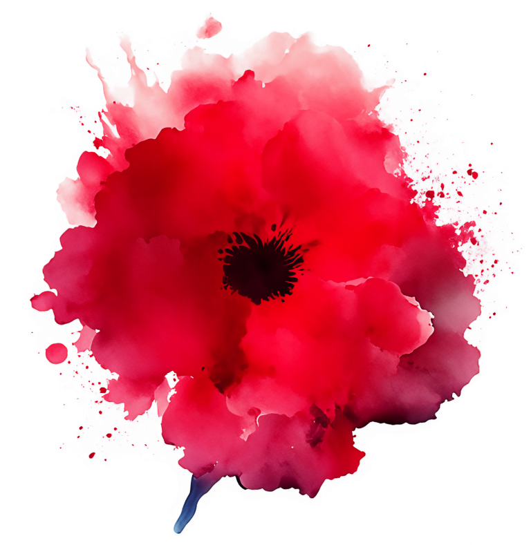 A beautiful watercolour painting of a vibrant red poppy